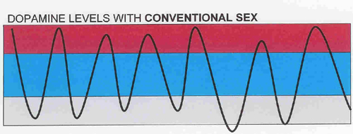 dopamine levels with conventional sex