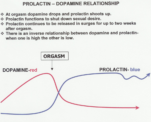 Prolactin-Dopamine relationship chart